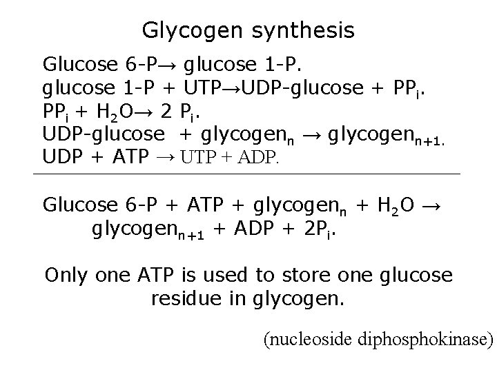 Glycogen synthesis Glucose 6 -P→ glucose 1 -P + UTP→UDP-glucose + PPi + H