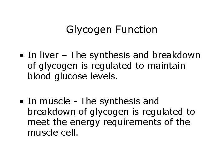 Glycogen Function • In liver – The synthesis and breakdown of glycogen is regulated