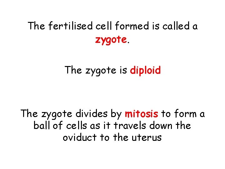 The fertilised cell formed is called a zygote. The zygote is diploid The zygote