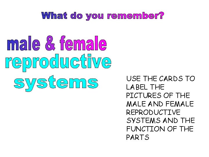 USE THE CARDS TO LABEL THE PICTURES OF THE MALE AND FEMALE REPRODUCTIVE SYSTEMS