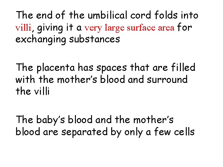 The end of the umbilical cord folds into villi, giving it a very large