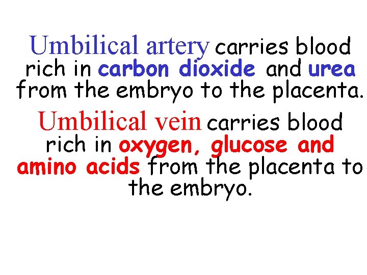 Umbilical artery carries blood rich in carbon dioxide and urea from the embryo to