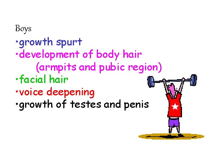 Boys • growth spurt • development of body hair (armpits and pubic region) •