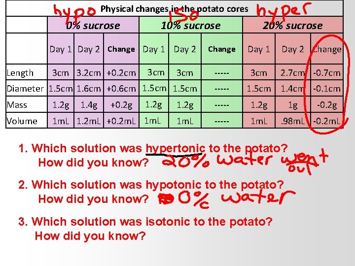 Physical changes in the potato cores 0% sucrose 10% sucrose Day 1 Day 2