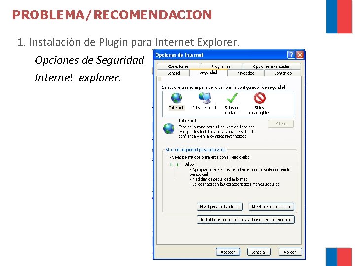 PROBLEMA/RECOMENDACION 1. Instalación de Plugin para Internet Explorer. Opciones de Seguridad Internet explorer. 