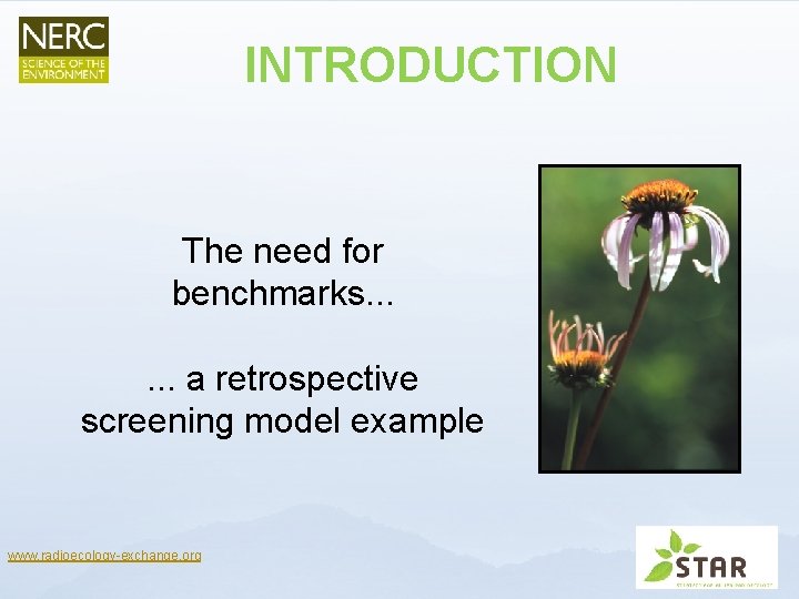 INTRODUCTION The need for benchmarks. . . a retrospective screening model example www. radioecology-exchange.