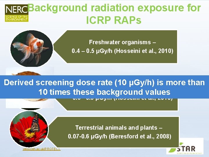 Background radiation exposure for ICRP RAPs Freshwater organisms – 0. 4 – 0. 5