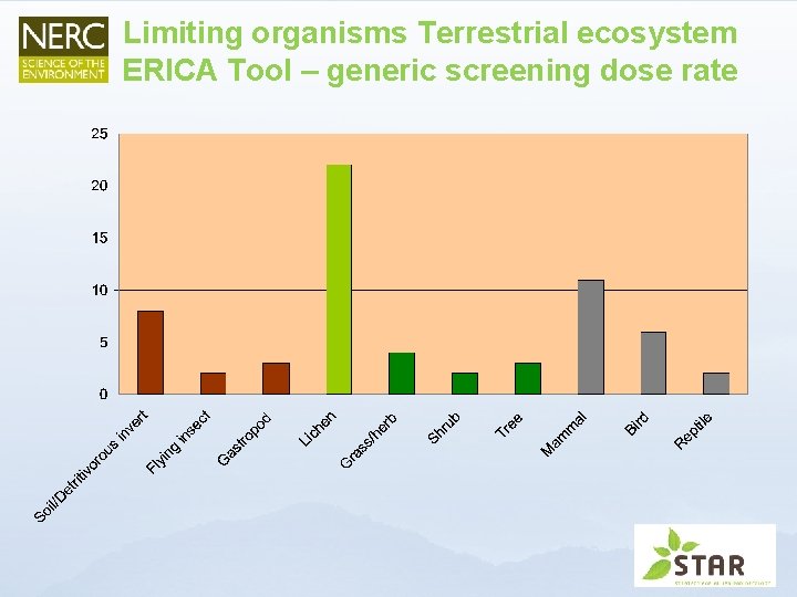 Limiting organisms Terrestrial ecosystem ERICA Tool – generic screening dose rate 