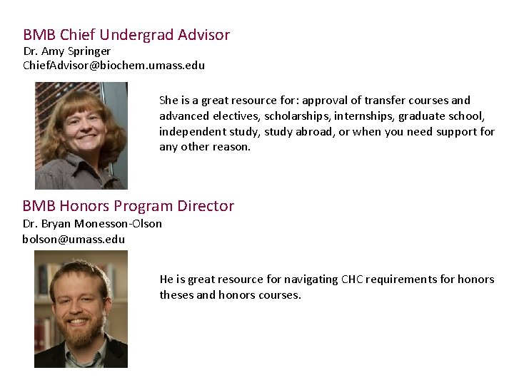 BMB Chief Undergrad Advisor Dr. Amy Springer Chief. Advisor@biochem. umass. edu She is a