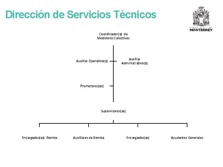 Dirección de Servicios Técnicos Coordinador(a) de Medidores Colectivos Auxiliar Operativo(a) Auxiliar Administrativo(a) Promotores(as) Supervisores(as)
