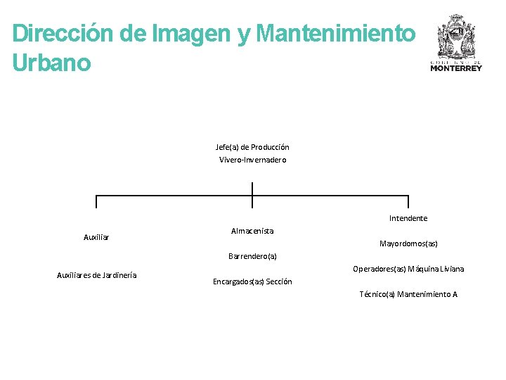 Dirección de Imagen y Mantenimiento Urbano Jefe(a) de Producción Vivero-Invernadero Intendente Auxiliar Almacenista Mayordomos(as)
