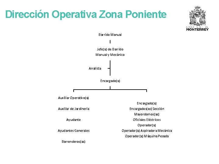 Dirección Operativa Zona Poniente Barrido Manual Jefe(a) de Barrido Manual y Mecánico Analista Encargado(a)