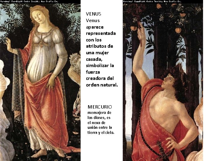 VENUS Venus aparece representada con los atributos de una mujer casada, simbolizar la fuerza