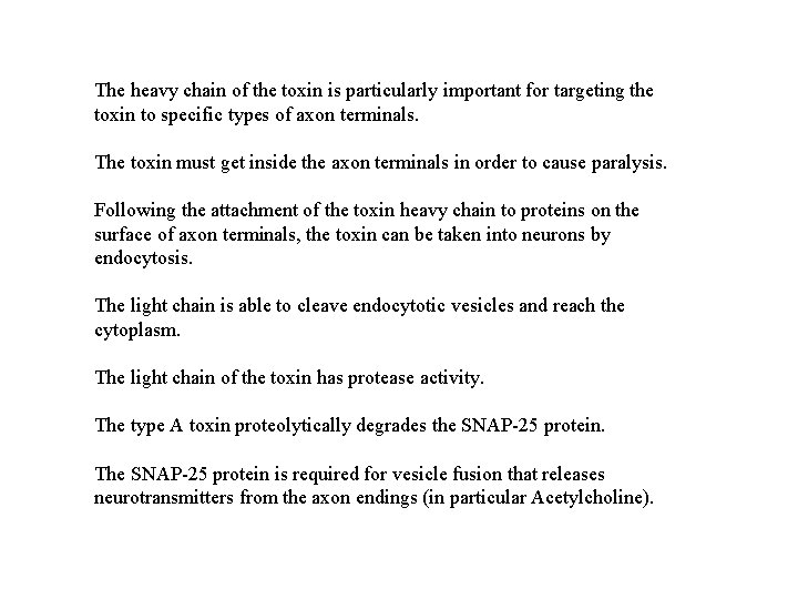 The heavy chain of the toxin is particularly important for targeting the toxin to