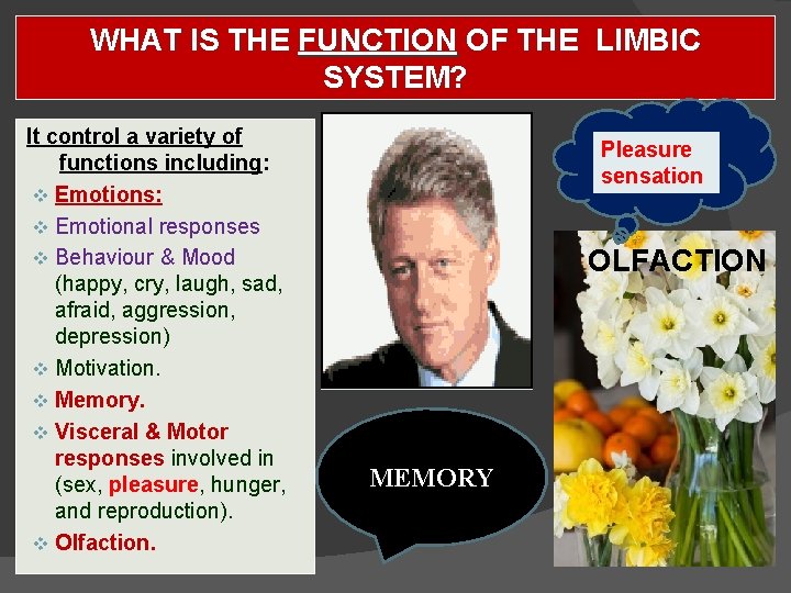 WHAT IS THE FUNCTION OF THE LIMBIC SYSTEM? It control a variety of functions