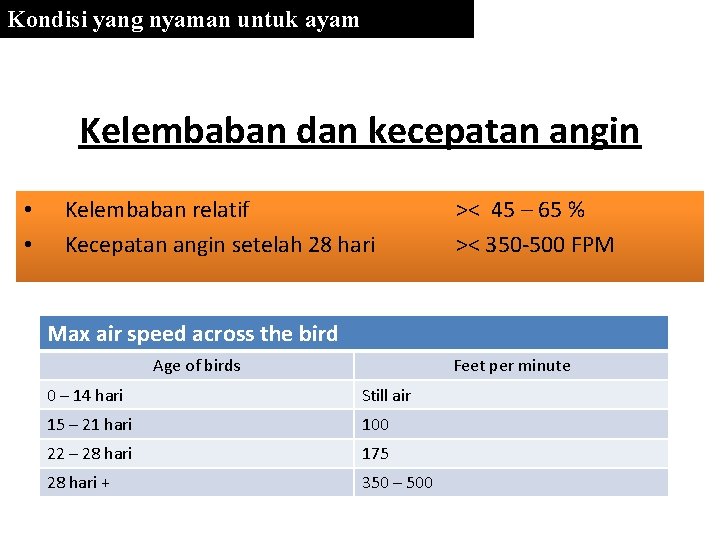 Kondisi yang nyaman untuk ayam Kelembaban dan kecepatan angin • • Kelembaban relatif Kecepatan