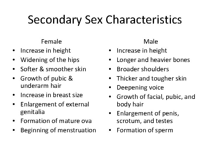 Secondary Sex Characteristics • • Female Increase in height Widening of the hips Softer