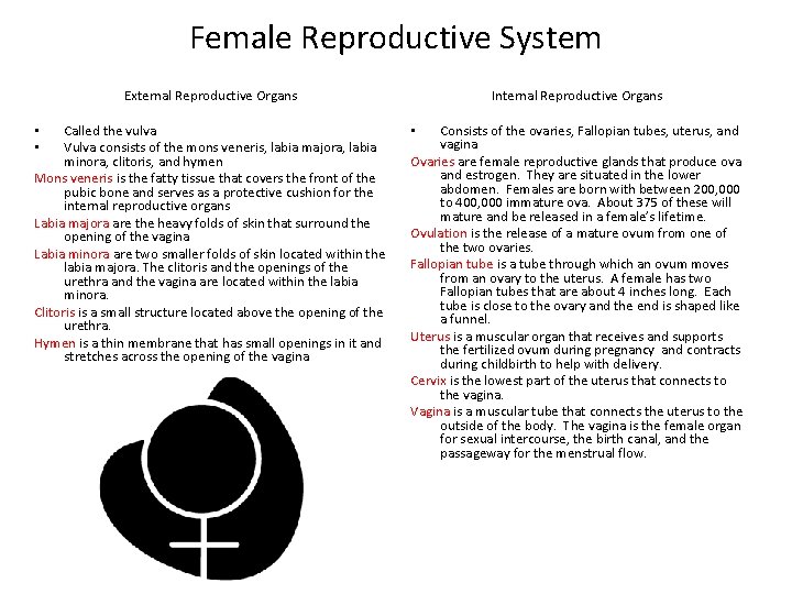 Female Reproductive System Internal Reproductive Organs External Reproductive Organs Called the vulva Vulva consists