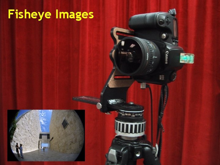 Fisheye Images 