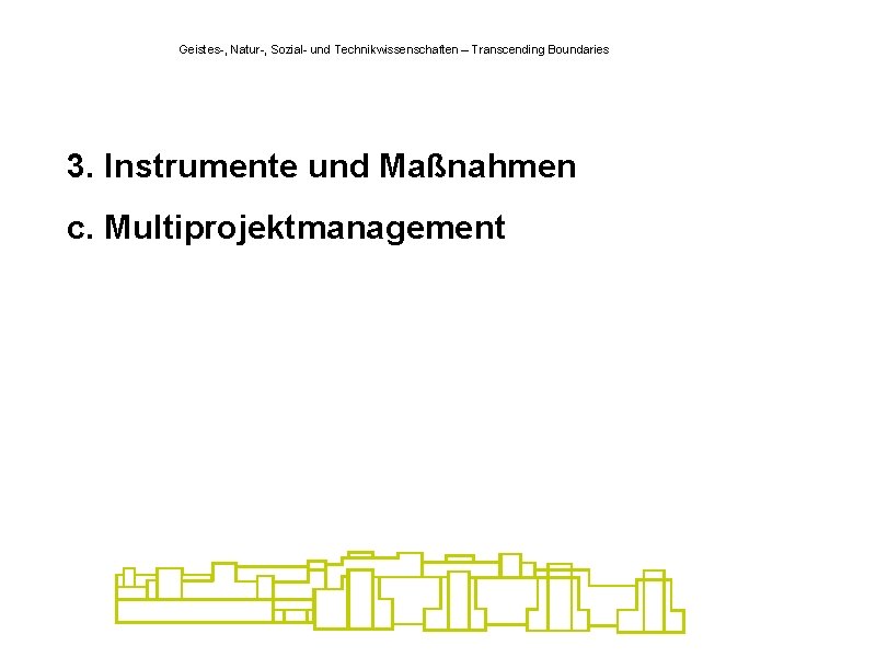 Geistes-, Natur-, Sozial- und Technikwissenschaften – Transcending Boundaries 3. Instrumente und Maßnahmen c. Multiprojektmanagement