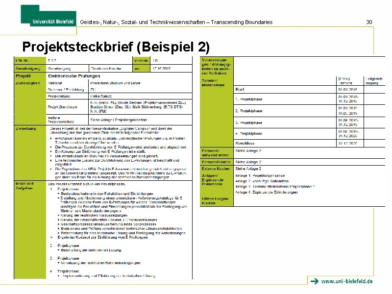 Geistes-, Natur-, Sozial- und Technikwissenschaften – Transcending Boundaries Projektsteckbrief (Beispiel 2) 30 