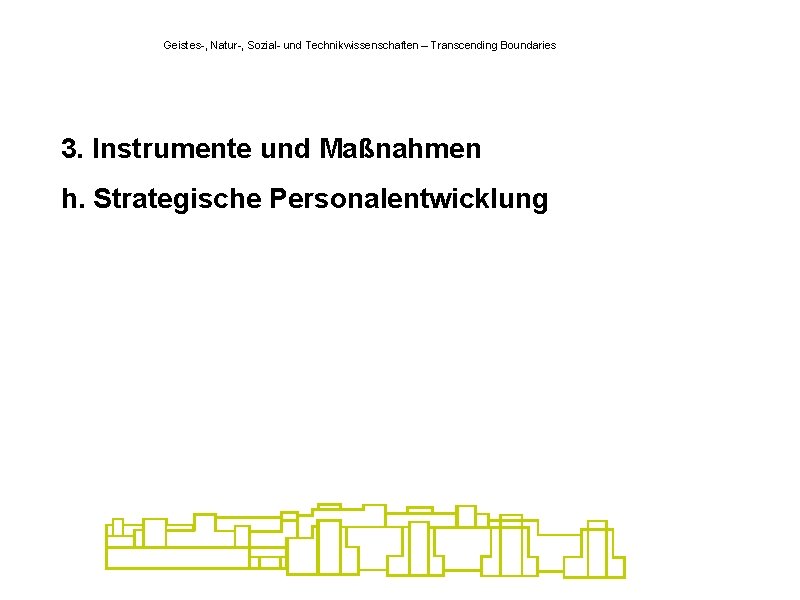 Geistes-, Natur-, Sozial- und Technikwissenschaften – Transcending Boundaries 3. Instrumente und Maßnahmen h. Strategische