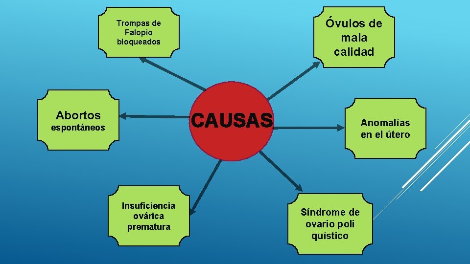 Óvulos de mala calidad Trompas de Falopio bloqueados Abortos CAUSAS espontáneos Insuficiencia ovárica prematura