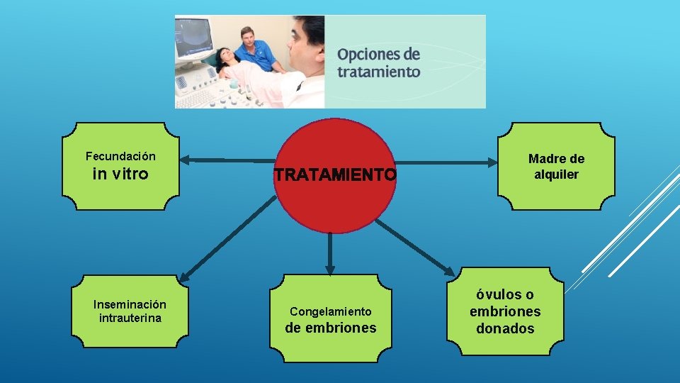 Fecundación in vitro Inseminación intrauterina TRATAMIENTO Congelamiento de embriones Madre de alquiler óvulos o