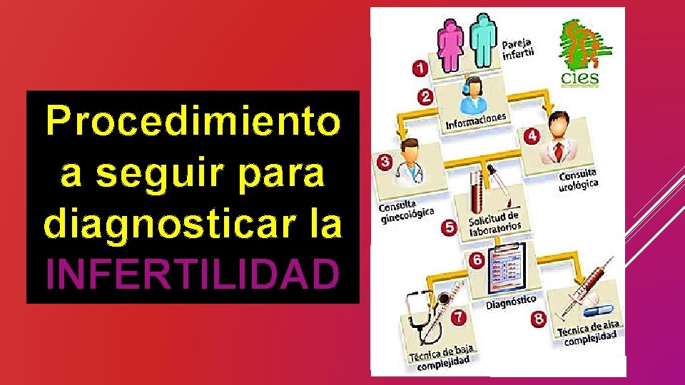 Procedimiento a seguir para diagnosticar la INFERTILIDAD 