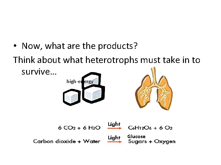  • Now, what are the products? Think about what heterotrophs must take in