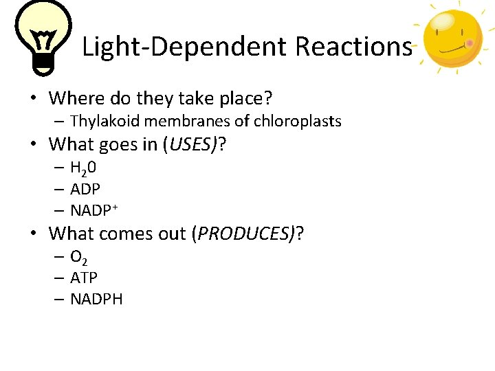 Light-Dependent Reactions • Where do they take place? – Thylakoid membranes of chloroplasts •