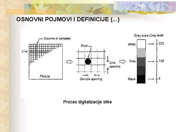 OSNOVNI POJMOVI I DEFINICIJE (. . . ) Proces digitalizacije slike 