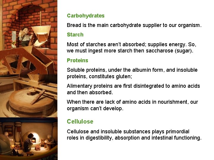 Carbohydrates Bread is the main carbohydrate supplier to our organism. Starch Most of starches
