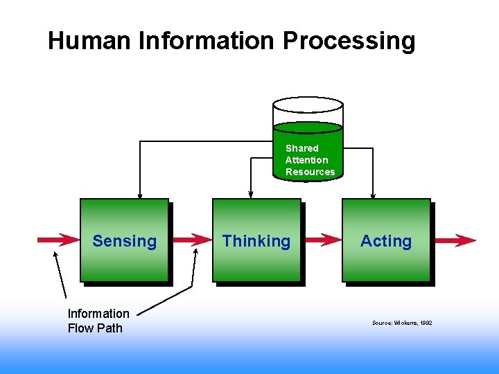 Human Information Processing Shared Attention Resources Sensing Information Flow Path Thinking Acting Source: Wickens,