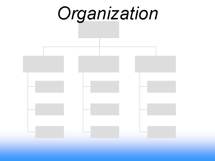 Organization 