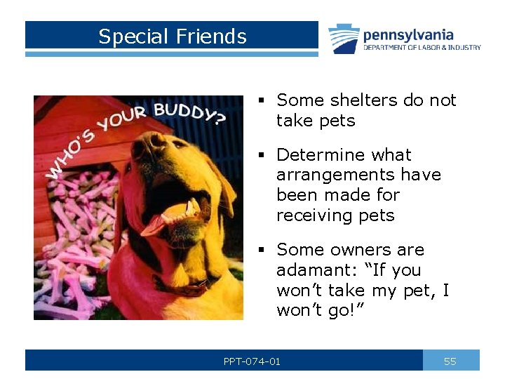 Special Friends § Some shelters do not take pets § Determine what arrangements have
