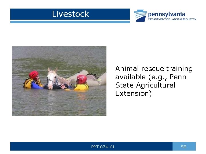 Livestock Animal rescue training available (e. g. , Penn State Agricultural Extension) PPT-074 -01