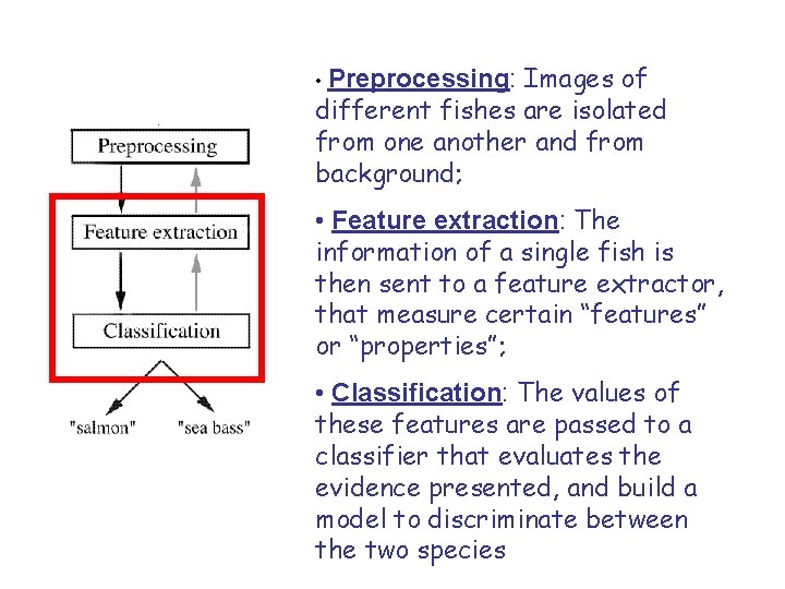 Images of different fishes are isolated from one another and from background; • Preprocessing: