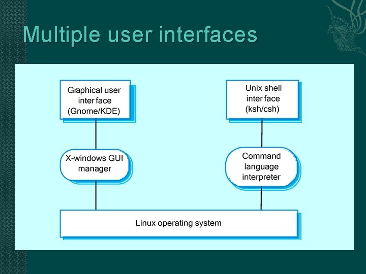 Multiple user interfaces 