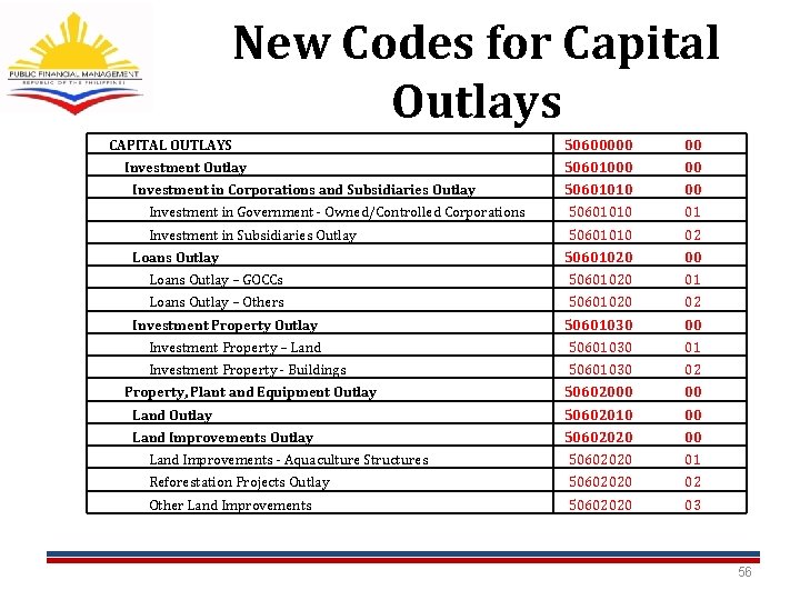 New Codes for Capital Outlays CAPITAL OUTLAYS 50600000 00 50601010 00 Investment in Government New Codes for Capital Outlays CAPITAL OUTLAYS 50600000 00 50601010 00 Investment in Government