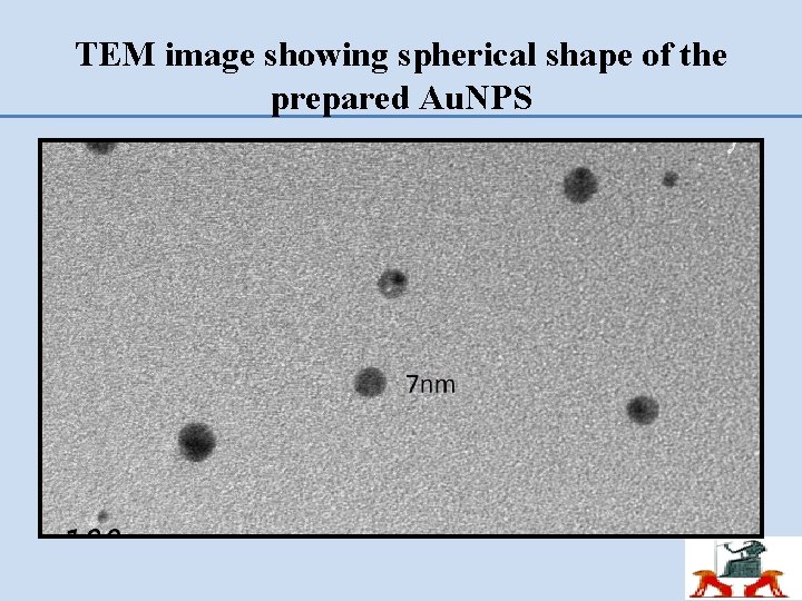 TEM image showing spherical shape of the prepared Au. NPS 