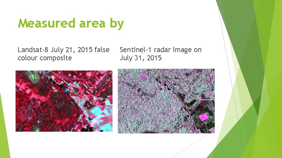 Measured area by Landsat-8 July 21, 2015 false colour composite Sentinel-1 radar image on