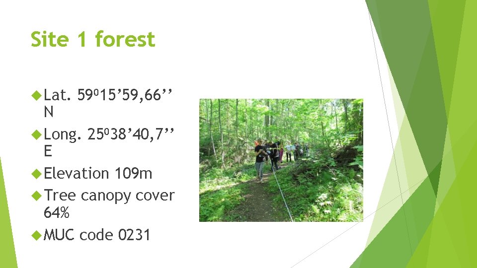 Site 1 forest Lat. 59⁰ 15’ 59, 66’’ N Long. 25⁰ 38’ 40, 7’’