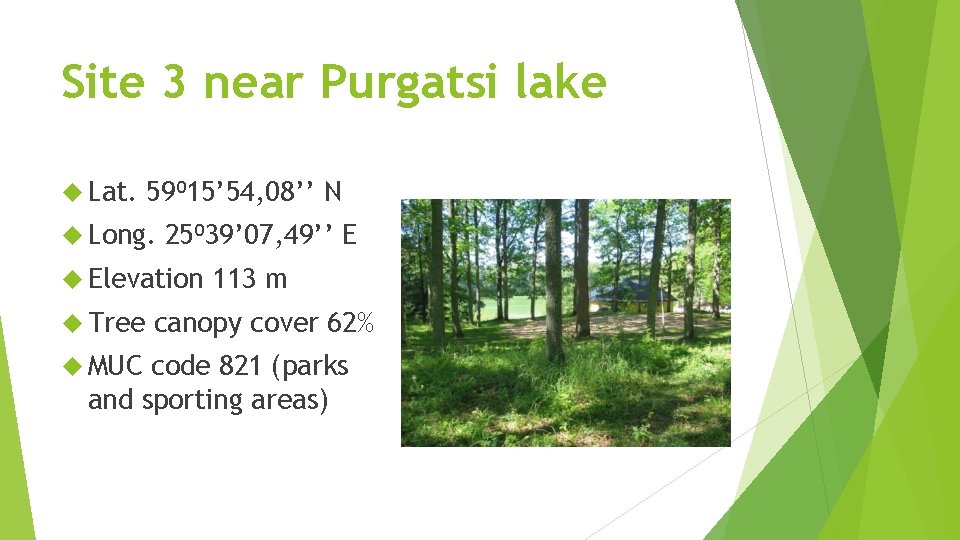 Site 3 near Purgatsi lake Lat. 59⁰ 15’ 54, 08’’ N Long. 25⁰ 39’