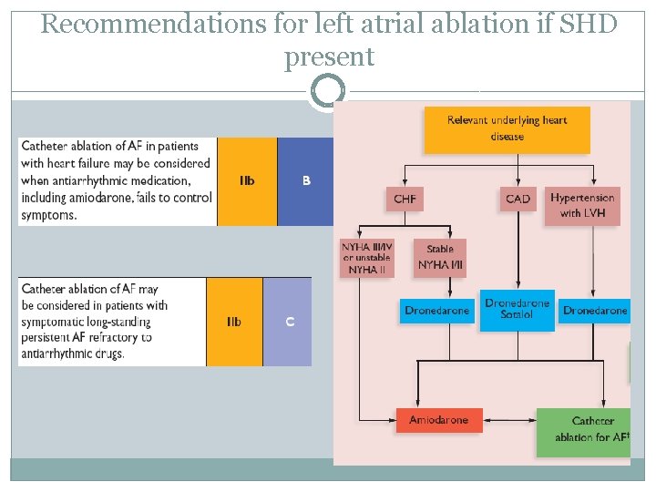 Recommendations for left atrial ablation if SHD present 