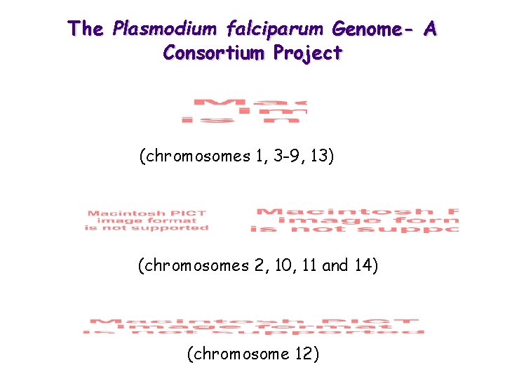 The Plasmodium falciparum Genome- A Consortium Project (chromosomes 1, 3 -9, 13) (chromosomes 2,