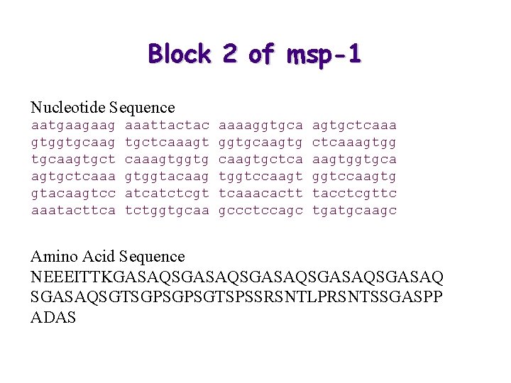 Block 2 of msp-1 Nucleotide Sequence aatgaagaag gtggtgcaagtgct agtgctcaaa gtacaagtcc aaatacttca aaattactac tgctcaaagtggtg gtggtacaag