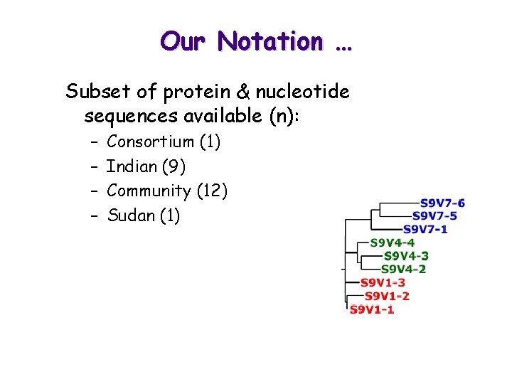 Our Notation … Subset of protein & nucleotide sequences available (n): – – Consortium