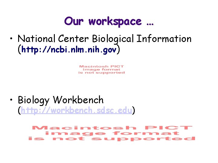 Our workspace … • National Center Biological Information (http: //ncbi. nlm. nih. gov) •