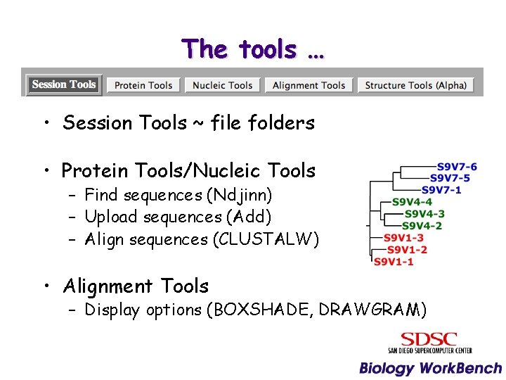 The tools … • Session Tools ~ file folders • Protein Tools/Nucleic Tools –